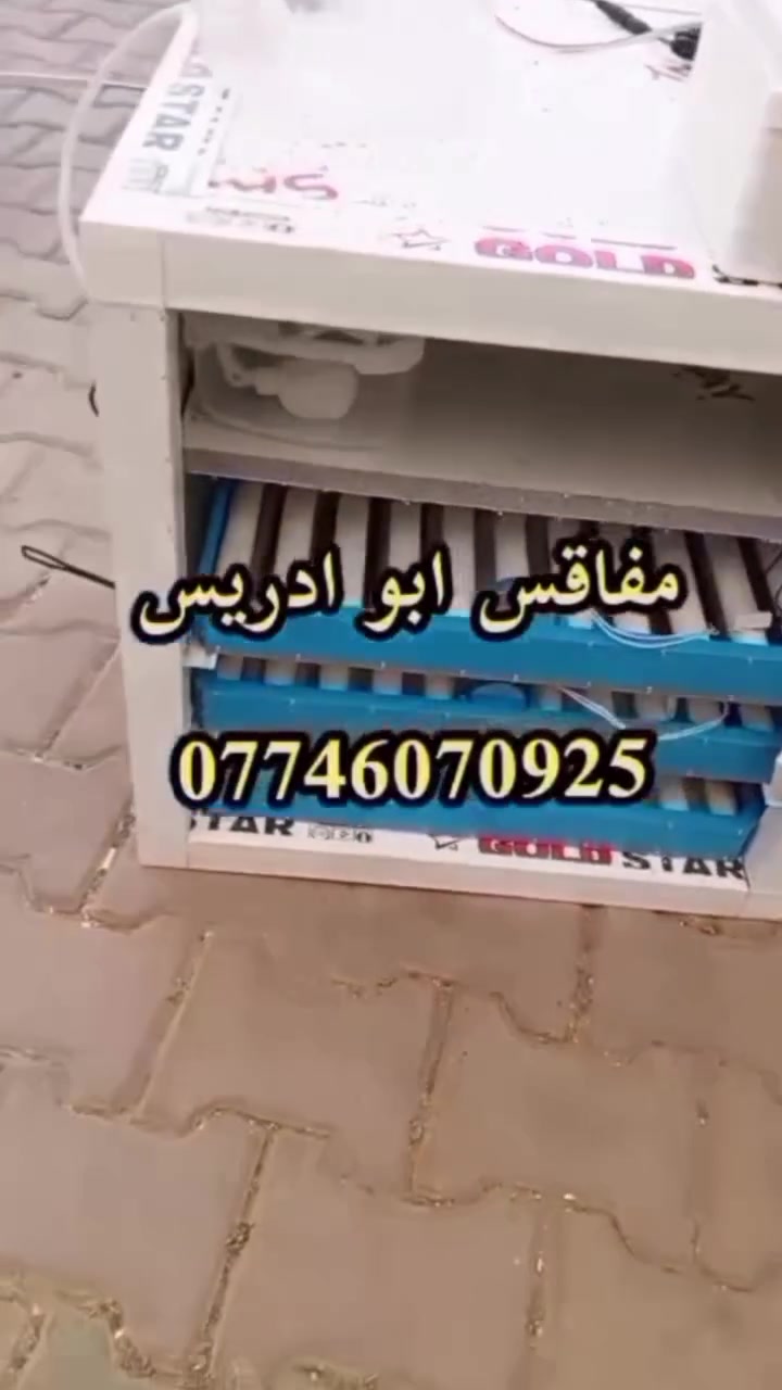 يالله اللهم صل على محمد وال محمد 
فقاسات جديده من ابو ادريس 
عرض لكل الفقاسات المذكوره بالمنشور مع سلتين تفقيس هديه وياها وتوصيل الفقاسات مجانا لكل المحافظات
 فقاسه ١٤٤ بيضه السعر ٢٣٥ الف
فقاسه ٢١٦ بيضه السعر ٣٠٠ الف
فقاسه ٤٣٢ بيضه السعر ٥٠٠ الف
مواصفات الفقاسات
1-هيكل الفقاسه المنيوم
2-مغلفه بنل عازل 2 سم 
3-متحكم الفقاسه zl فول اوتماتيك حراره ورطوبه وتقليب دبل كارت  الاصلي  
4-القلاب الي بالفقاسه دحرجه الاصلي يشيل كل انواع البيض 
5_صير نظام وجبات
6_الفقاسه معايره بجهاز سويسري جيل رابع (SENSIRION)
7_سله تفقيس عدد 2 هديه وتوصيل مجاني
الفقاسه كامله من كل شي ومعايره ومبرمجه يعني بس تخلي البيض مع اتباع تعليماتي 
🟢رجاءا نظام الحجز بعربون والباقي عند الاستلام متعرفني اسال منو ابو ادريس 
الحجز على واتساب ***********‬‏ اوعلى الخاص 
 ✅المصنع ابو ادريس✅
 #فقاسات #مفاقس #مفاقس_ابو_ادريس #توصيل_مجاني #دواجن #صناعه_عراقيه_درجه_اولى
#فقاسات_المنيوم #فقاسات #مفاقس
