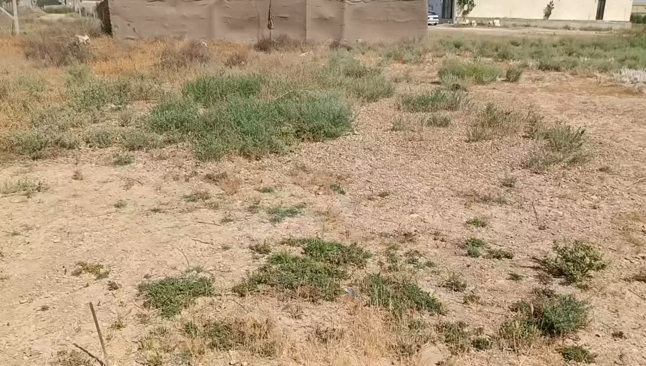 قطعه ارض للبيع ركن تحويل مباشر الموقع حي الازدهار خلف ليث الحرباوي الاستفسار على الرقم***********
