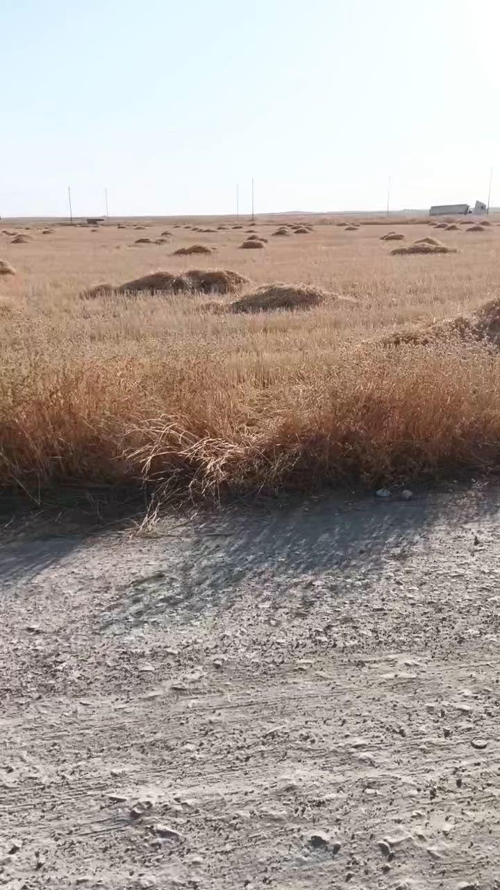 ارض للبيع مقابيل كسر محراب 
ارض دونمين بها بئر ماء كهرباء استفسار اتصال على رقم 
***********
