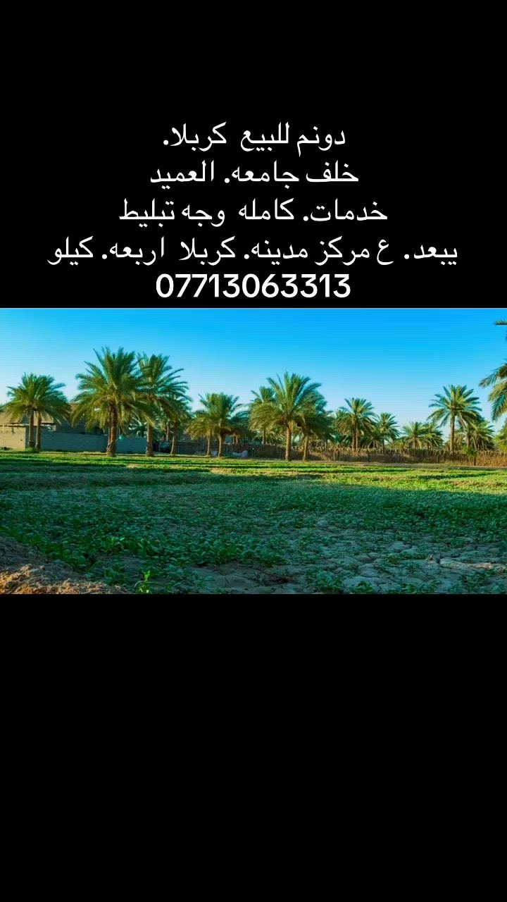 تفاصيل دخل 
المقطع
***********
