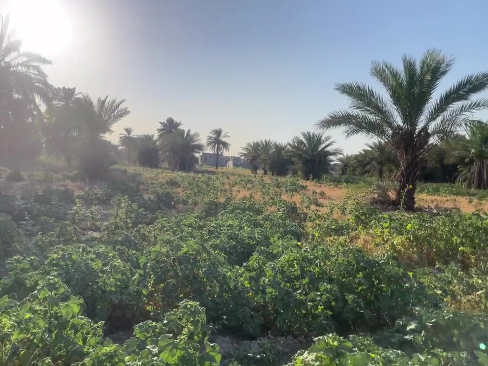 سلام عليكم ارض للبيع نص دونم  وجه 15
العنوان الزعفرانية***********
