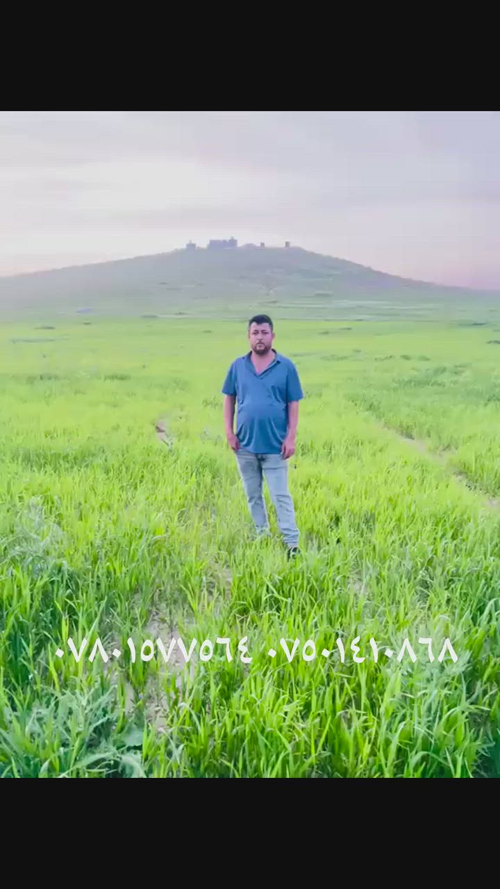 الأرض لل بيع منطقه شرفدين تواصل معه صاحب الأرض رقم *********** ***********
