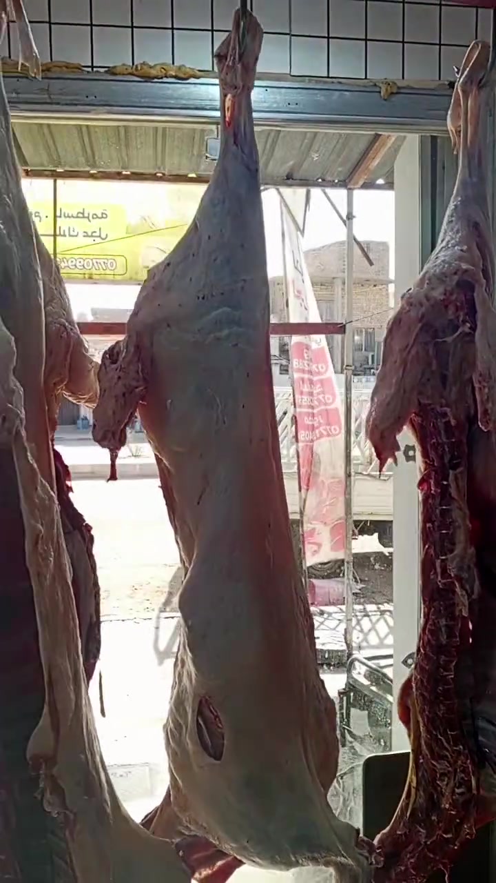 لحوم الجزيرة سامراء شارع الحداحده مجاور سراج ابو الشربت 

يعلن عن بيع 
لحم الغنم 15 
لحم عجل 14 

***********
