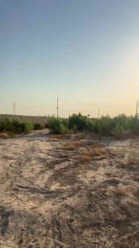 السلام عليكم 
للبيع شاطية 
سعر منااااااسب 
بغداد المدائن سلمان باك 
1445 متر 
وجه 17 
نزال 85 
نص دونم وبيها هيكل 
واذا دونم هم عادي 
تصير الوجه 34 
كامل خدمات من كلشي 
مجاور مزارع ايجارات 
ثاني يوم تبني والموافقات موجودة يمي 
للاستفسار اكثر 
***********
