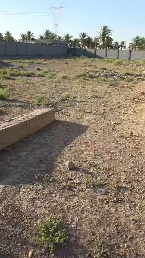يوجد لدي دوانم البيع في بغداد ابو غريب منطقة ١٠ مناصير طابور زراعي سند ٢٥ التصال أو وتساب ***********
