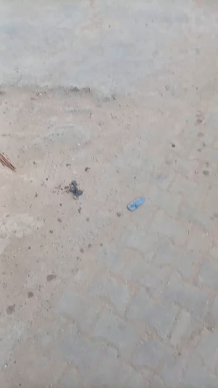 موبايل *********** عنوان المشتل
