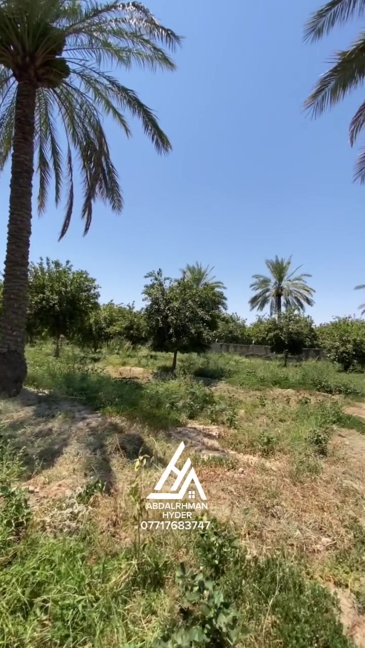 🚨🚨اعلان 227 
📌📌للبيع دونم مربع بستان 🌿
ركن على شارعين 
(طابو زراعي سند 25)✅
الواجهة 50م 📏النزال 50م 

✨كامل الخدمات 
✨يرهم سكن يرهم مزرعة 
✨بستان مثمر 
✨موقع جداً مميز 

📍📍العنوان بغداد الراشدية منطقة البحيات 
تفاصيل اكثر :-📞📞***********

.
.
.
.
.
.
 #مزارع #دوانم #بس #ا #تين #بغداد #الراشدية #العراق #بيع #شراء #عقارات #في #بغداد #طابو #ملك #صرف #سكن #استثمار #عقار #ناجح #موقع #مميز #اكسبلور #لايك #شير #فولو #هاشتاك #الاعظمية  #الوزيرية #القاهرة #الصليخ #الكرادة #شارع #فلسطين #زيونة #الرصافة #مقاولات #عام #بناء #ترميم #عقار #v #o #L #P #Q #e #w #B #N #i #Y #Z #a #G #fightcoronavirus #fyp
