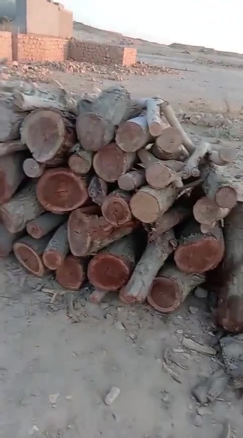 سلام عليكم مكلف بل نشر حطب لبيع رقم صاحبه ***********@

