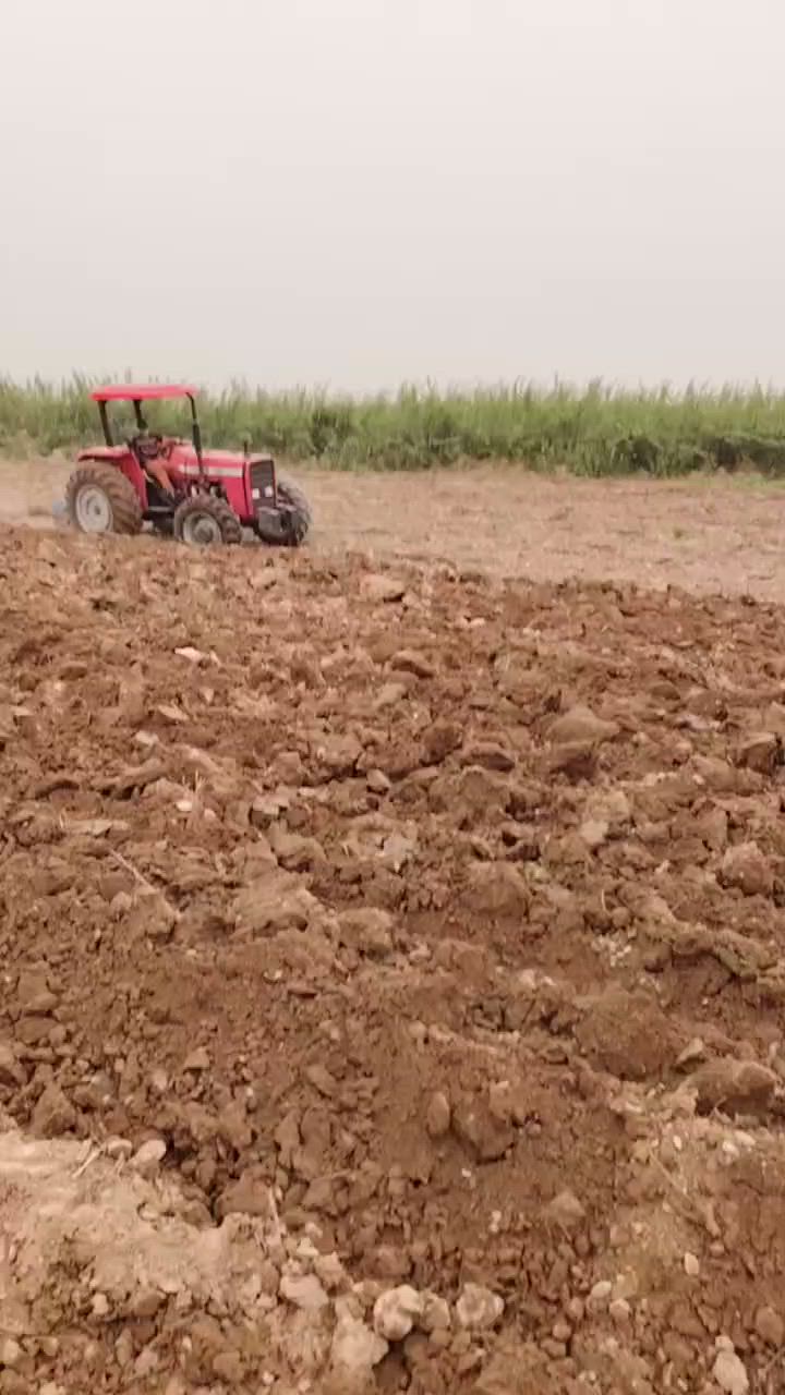 فوركسن البيع 2017ديالى جلولاء***********
