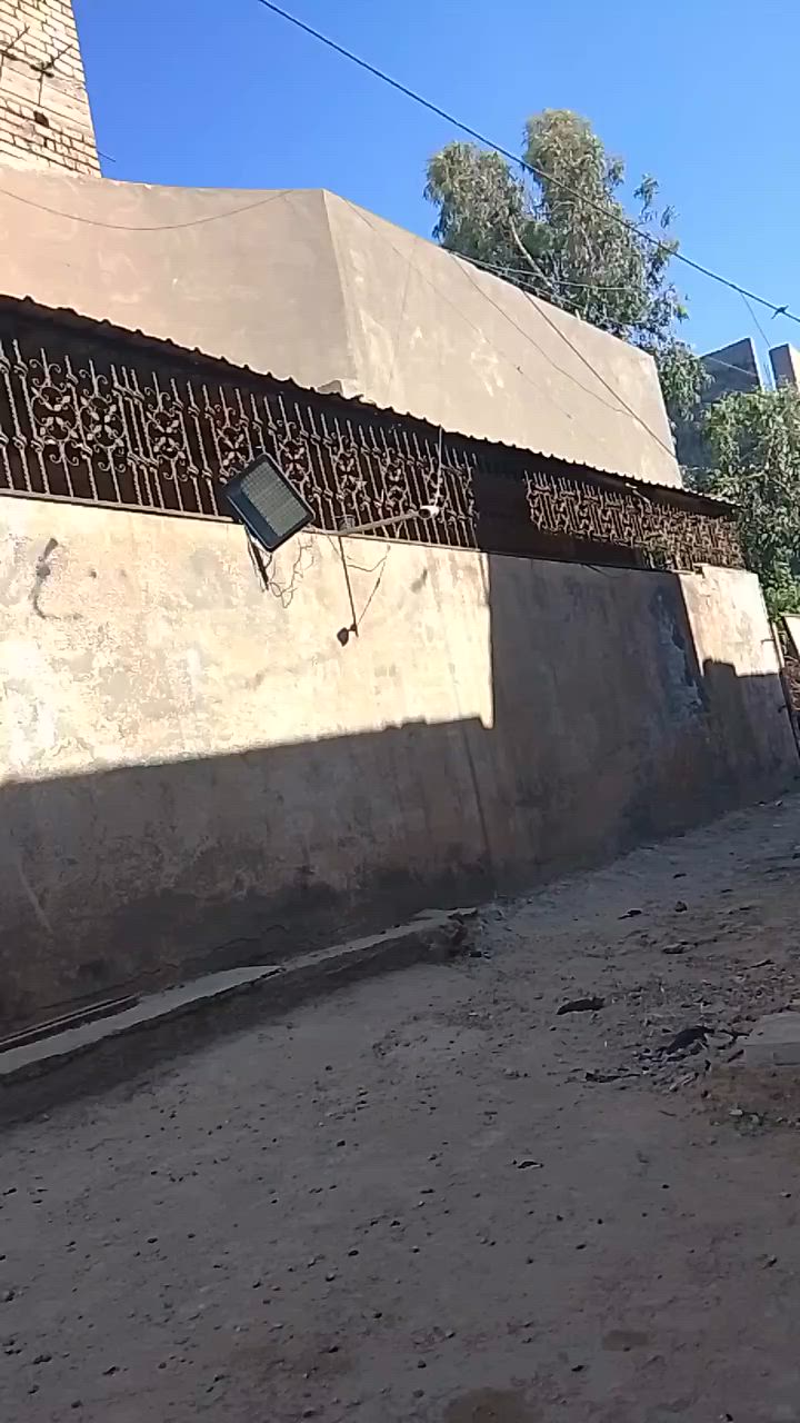 سلام وعليكم قمريه البيع ***********
