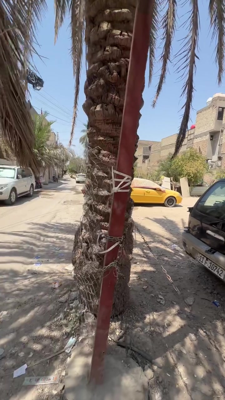 ‏سلام عليكم قطع للبيع ‏حسب الطلب شارع راجح  البنجرجي للاستفسار اتصال أو مراجعة المكتب ‏جاسم أبو عبدالله ***********
