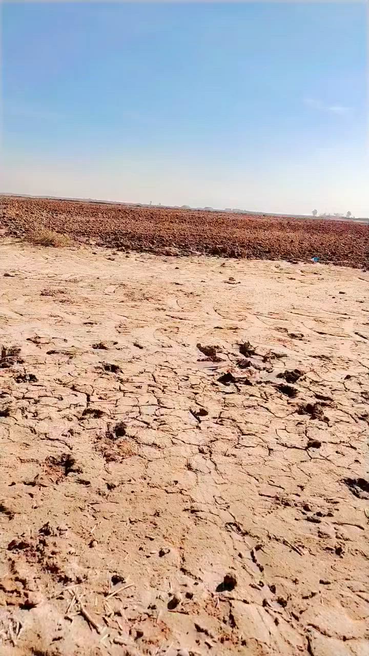 السلام عليكم  أرض زراعيه للبيع مساحه 12 دونم سند 17 خدمات متكامله ماء بيها شارع  التفاصيل اتصال عل ارقم ***********  بغداد النهروان
