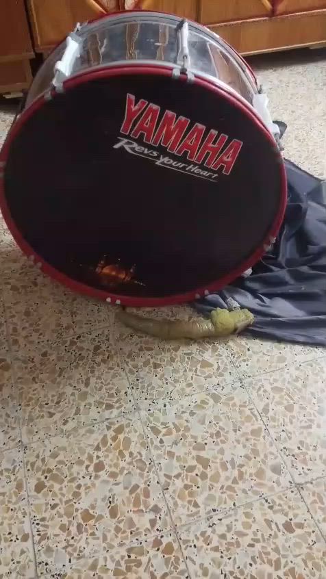 دمام للبيع راسلني واجاوبك


**إذا كنت صاحب هذا الإعلان وتريد حذفه لأي سبب، رجاءا أرسل رسالة إلى الدعم الفني**