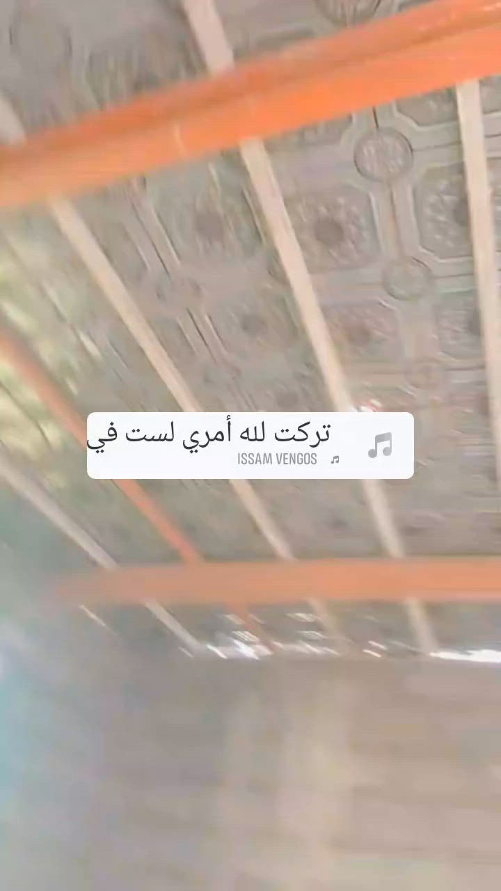 شيلمان طول 5متر للبيع العدد 14 شخاط انج ونص عدد 50 بيارس ثقيل عدد 15. ***********
