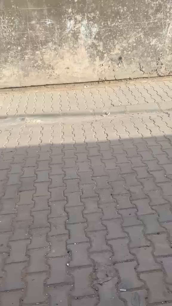 بيت للبيع طابو زراعي سند ٢٥ المساحه ٢٦٠م ركن الشعله قطاع السادس شارع الغربي قرب سكله حيدر تميمي شارع أسواق زيتونه الاستفسار على الرقم ***********
