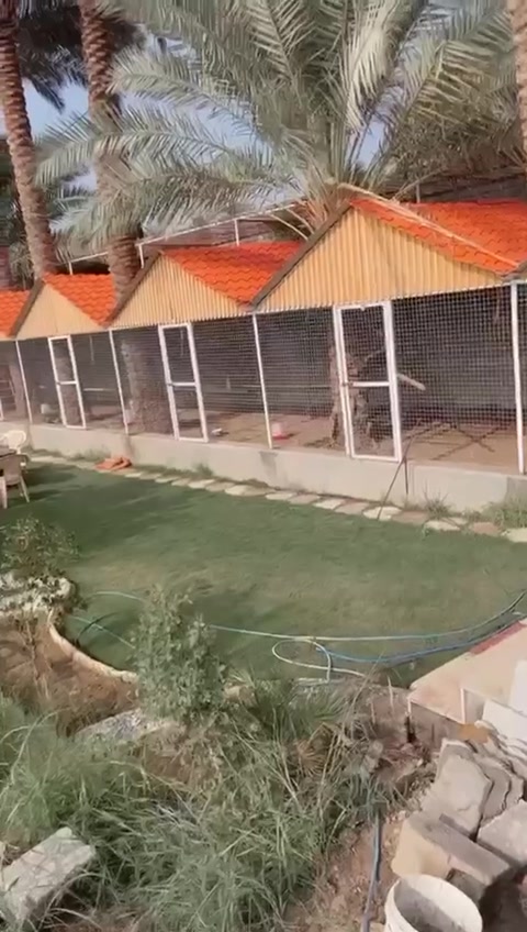 مزرعة كاملة متكاملة دونم طابو حق التصرف واجهة أكثر من 35-40 واجهة حجر ع نزلة الشط بالكامل  ومدرجات حجر والبيت كامل مكانها ممتاز واذا تؤجر العائد المالي مالها يكون ممتاز بعيدة عن ضجيج المدينة وسط منطقة زراعية ترفيهية بيع كامله حته الحيوانات ال ابره ما يشيل منهة هاذا رقمي او اتصل او بيك خير ودلل افهم التفاصيل اكثر ***********
