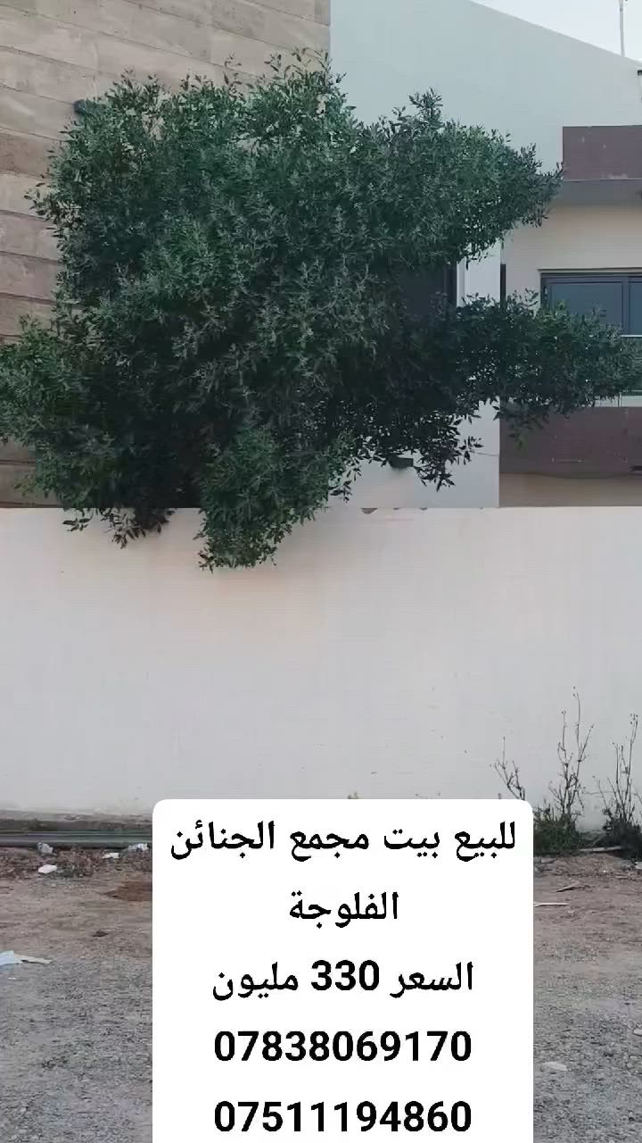 للبيع بيت طابقين مجمع الجنائن
الفلوجة شارع عيفان
مساحة 220 متر شارع 40
4 غرف نوم 
مؤجر بوارد شهري 600 الف
السعر البيع 310 مليون نقدي
***********
***********
