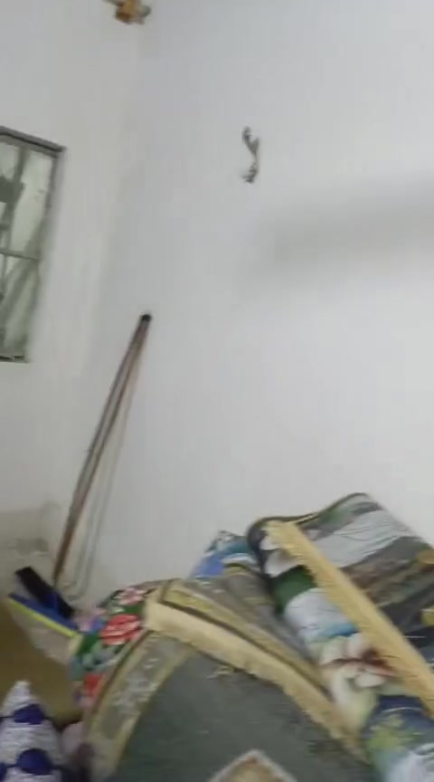 بيت للبيع تفاصيل البيت بالفديو الموقع اجكوك الشعله مجمع مؤمل الصدر الحواسم الشراي المراجعه عل هذا الرقم ع ‏‪***********‬‏
