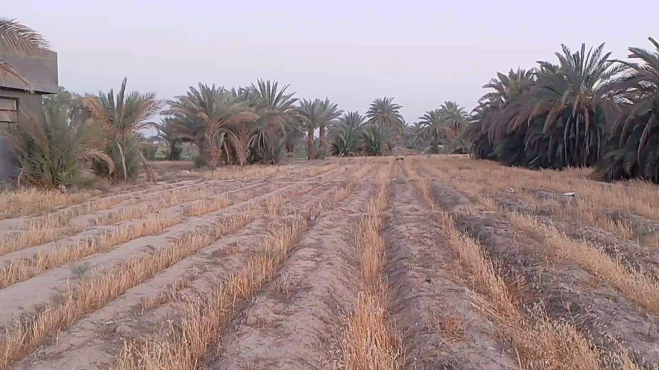 ✅بلاش سعر الدونم 50مليون فقط
✅طابو زراعي سند 25 تحويل مباشر 

✅تبعد عن التبليط مسافه 100متر طريقها سبيس 

✅واجهة 40متر والباقي نزال 

للاستفسار اكثر الاتصال ***********
