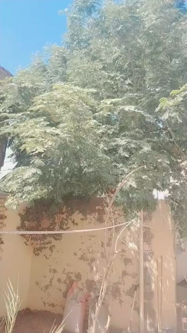 🏡 بيت للبيع — فرصة ممتازة
📍 الموقع: الكوفة شارع عبد العال — حي السهيلية
📐 المساحة: 150 متر
↔️ الواجهة: 6.5 متر
📏 النزال: 24 متر
🏠 البناء: طابقين
🛏 عدد الغرف: 3 غرف

بيت مرتب بمواصفات جميلة وموقع مميز، مناسب للعائلة ويوفر مساحة مريحة وتصميم عملي.

💰 السعر: 135 مليون قابل للتفاوض

للاستفسار والتواصل / ***********
