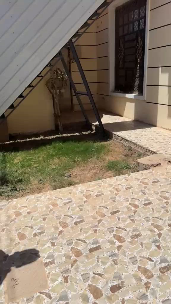 يتوفر بيت للايجار في مدينه الرمادي منطقه الخمس الكيلو قرب مركز الحريه مدرسه هبه الرحمن خدمات متوفره كامله البيت نظيف الطابق الارضي ديوانيه مع صاله مع غرفتين مع صحيات داخليه خارجيه مع مطبخ معزول عن الطابق الثاني والطابق الثاني يتكون من غرفتين مع صاله مع صحيات مع مطبخ يحتاج بس سيراميك مطلوب عائله للطابقين او لكل طابق واحد ايجاره 
الطابق الثاني يحتاج بس سيراميك المطبخ فقط 
سعر البيت كامل 700 
الارضي 400 
١ والطابق الثاني 300 
هاي الاسعار قفل 
***********
