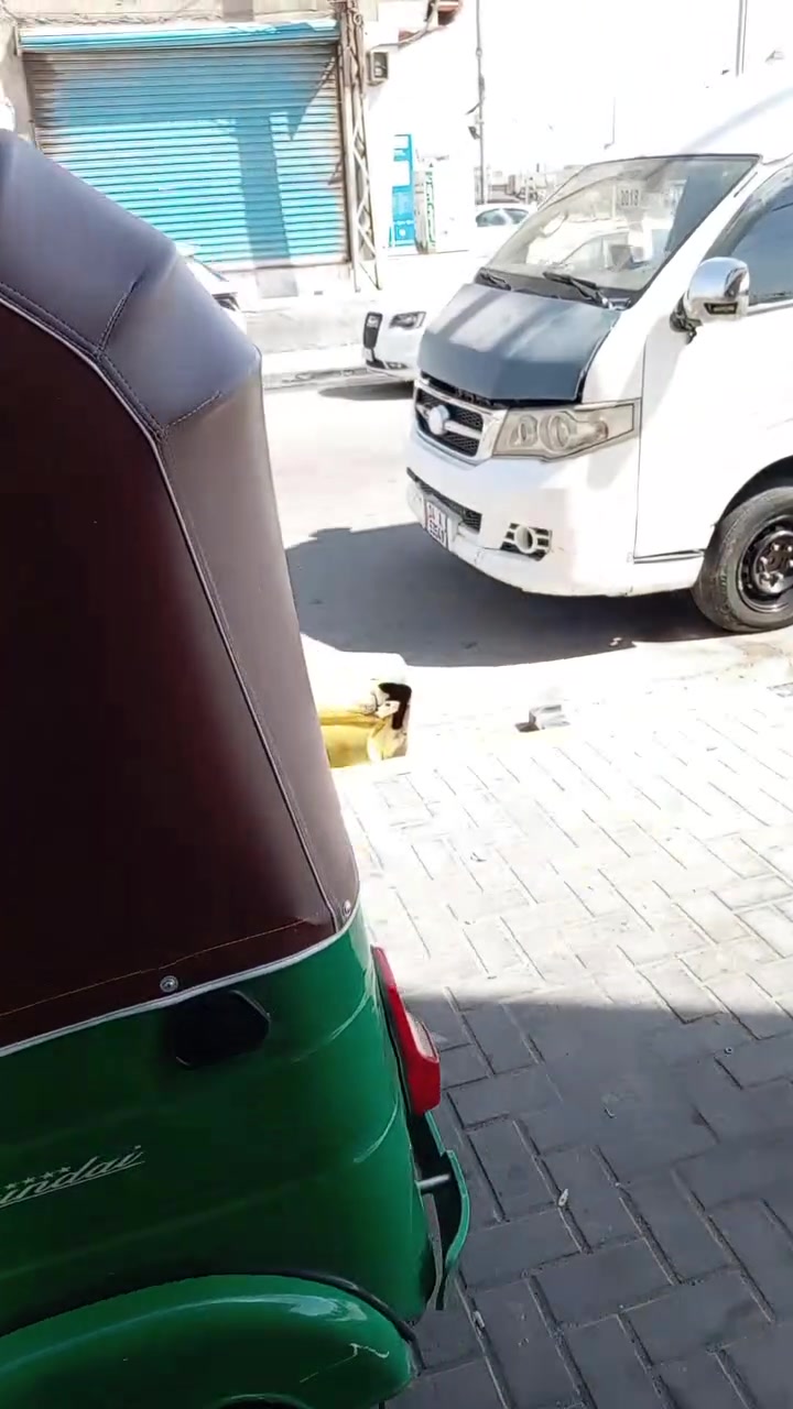 تك تك ٢٠٢١ شهر ١١
كفالة الكفالة
السعر  ٧٥٠٠
البصرة الجمغيات _مجاور شركة محمد كاطع
***********
