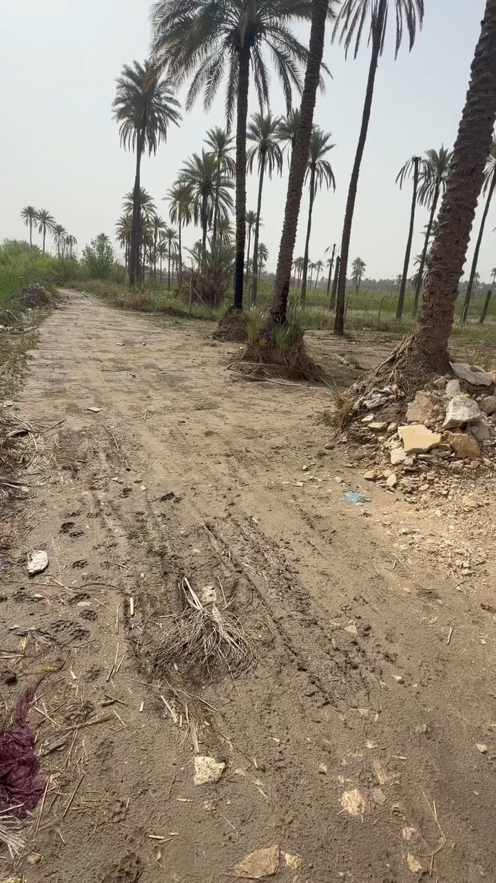 السلام عليكم 
اخوان ارض مساحه دونم ونصف 
الأرض سند ٢٥ طابو زراعي 
تحويل مباشر من اسمي إلى اسم المشتري 
مكان الارض كربلاء طويريج منطقه ابو سفن تبعد عن الامام الحسين (ع) ربع ساعه الأرض حلوه ومناسبه للتواصل *********** ايضاً متوفر واتساب
