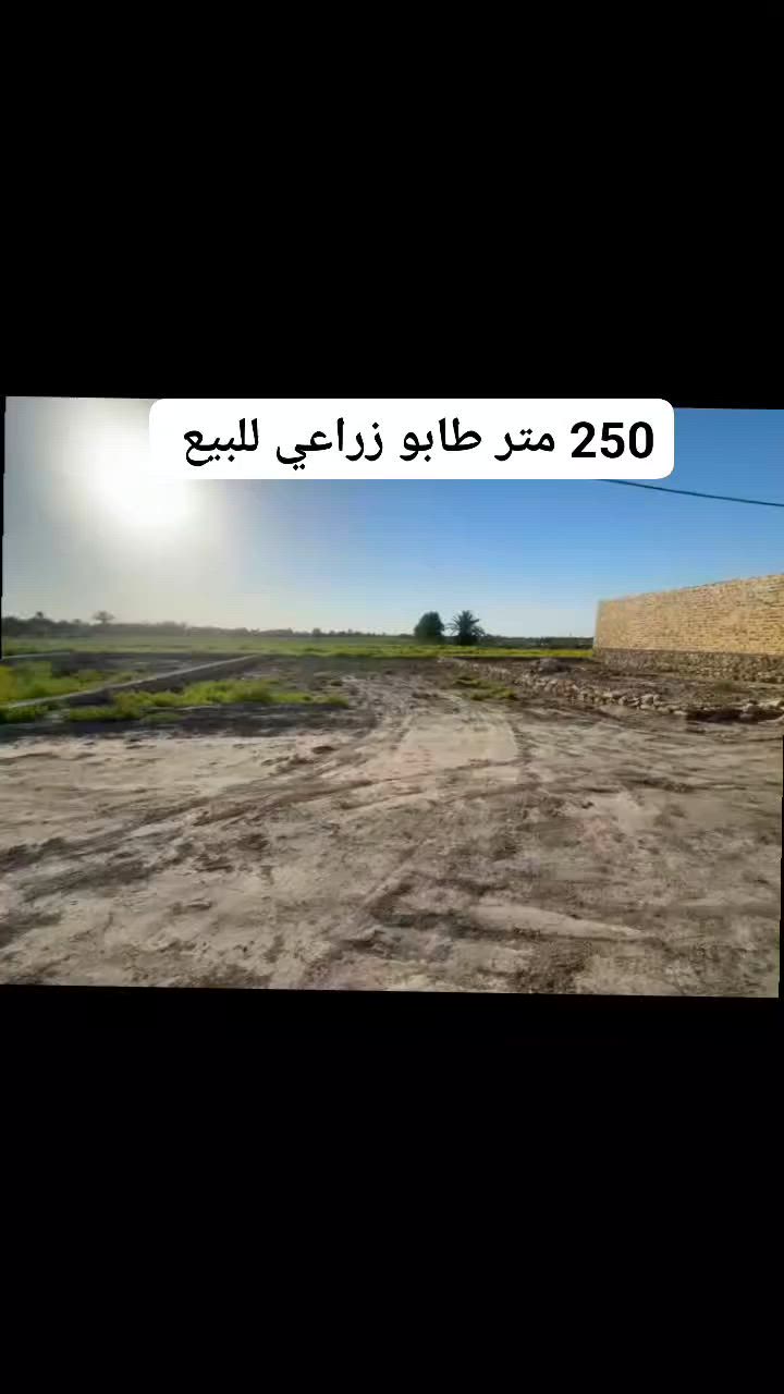 #ياالله_250متر_طابو_زراعي_للبيع
الرميثه نهاية البندقيه سايدين العلوه
شارع 10 متر خدمات ماي وكهرباء 
للتواصل واتساب او اتصال ***********

