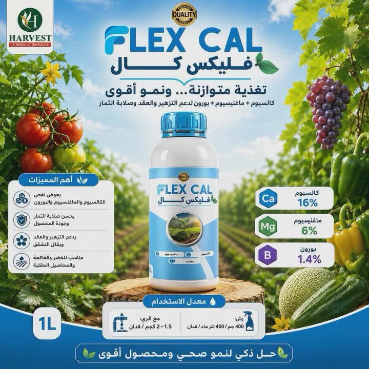 #فلكس_كال الكالسيوم الاقوى على الإطلاق
متوفر الآن لدى #ميهوب_للتنميه_الزراعيه
01080591222


**إذا كنت صاحب هذا الإعلان وتريد حذفه لأي سبب، رجاءا أرسل رسالة إلى الدعم الفني**