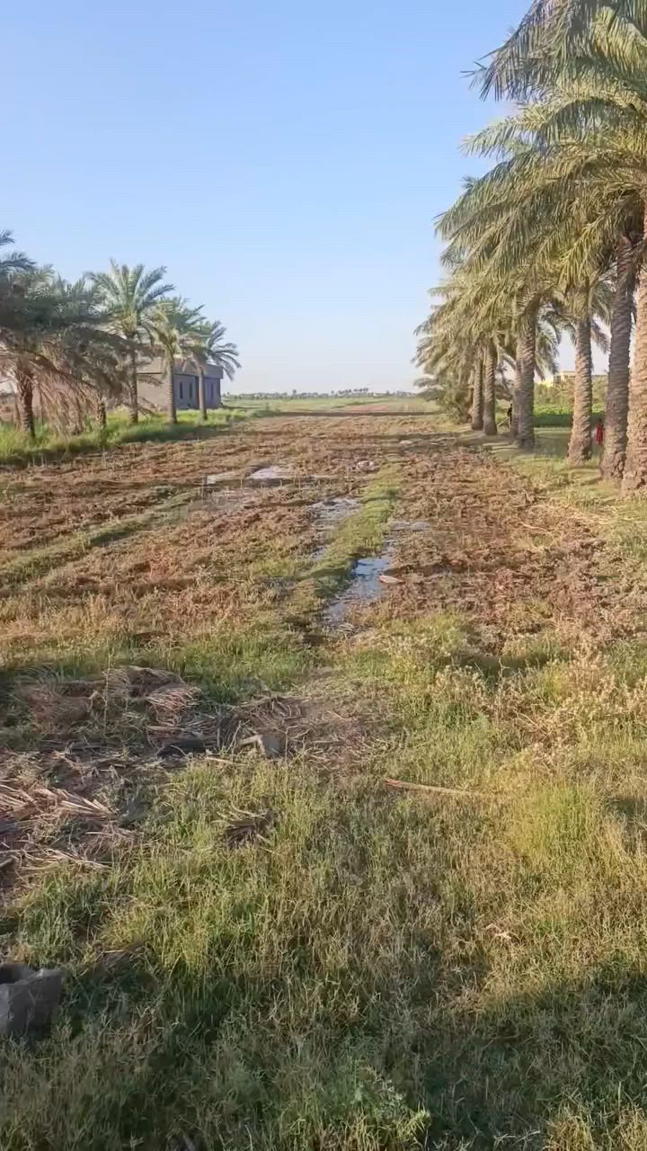 السلام عليكم ٨ دوانم البيع في الكرمه البوجاسم طابو سند ٢٥ تحويل مباشر وأصله كهرباء وماء رساله متوفر مدارس وأسواق سعر الدونم ٢٨ بيه مجال ***********
