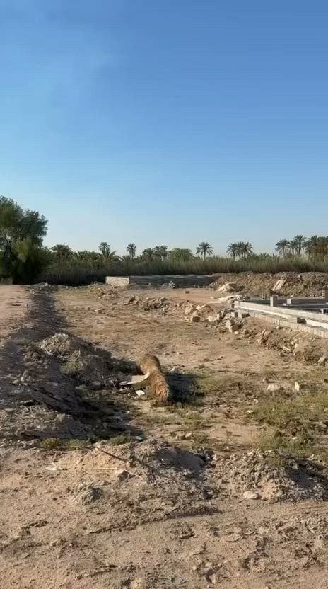 سلام عليكم
قطعة ارض طابو صرف زراعي ٢٥  ١٠٠ متر 
للبيع الموقع الجزيرة الفيروزية 
تبعد عن الشارع العام ١٠ دقائق 
للتواصل ***********
***********
السعر ٢٠ مليون وقابل للتفاوض 
ماترهم اقساط *
