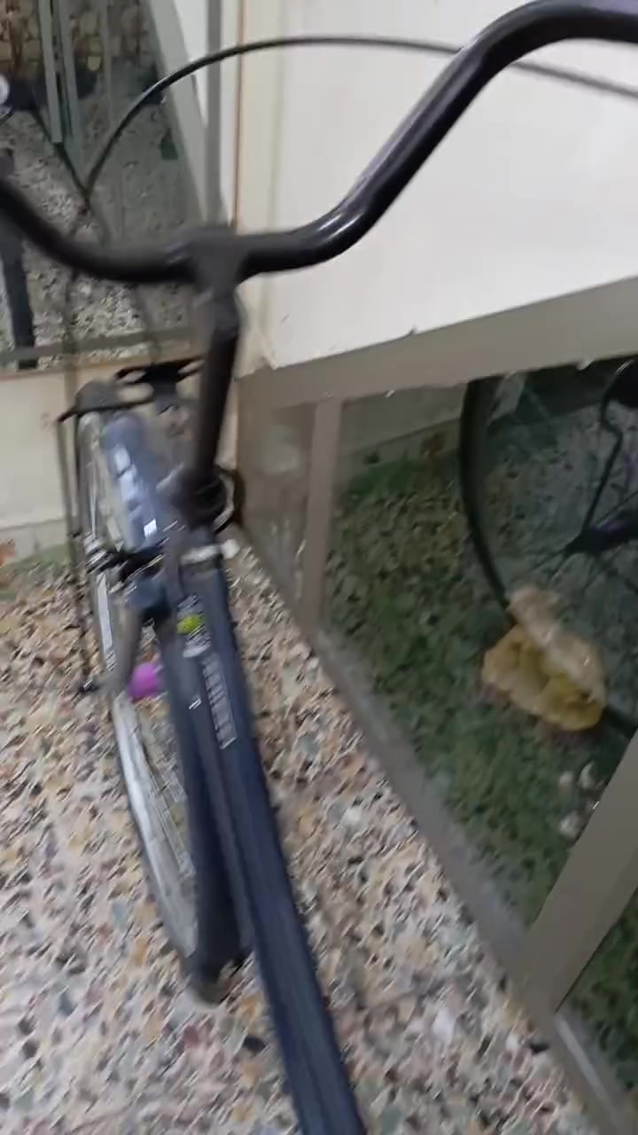 باسكل يباني باله باسكل ملعوب بي قليل كلش باسكل نضيف وحلوه ربع ماتصرف عليه لون سمنتي باسكل ياباني وأنه محتاج واريد ابيعه 
مواصفات الباسكل فول 
نضافه100/100
العنوان البصره الجمهوريه مقابل معهد 
السعر 170 وبي مجال 
الرقم ***********
راسلني على الواساب ليريد الباسكل
