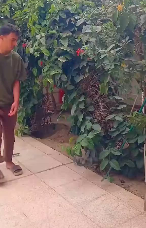 🌳 حدائق الموصل - لخدمات تنظيف وترتيب الحدائق 🌹
​هل تبحث عن إطلالة مميزة وجذابة لحديقتك؟ نحن هنا لخدمتك!
نغطي كافة مناطق وأحياء مدينة الموصل (الجانب الأيمن والأيسر) ونقدم لكم أفضل الخدمات الزراعية بأيدي خبيرة.
​🛠️ خدماتنا تشمل:
​تقليم وقص الأشجار: ترتيب الأشجار العالية والشجيرات بشكل هندسي وصحي.
​زراعة الثيل الطبيعي: فرش وزراعة الثيل  ليكون بساطاً أخضر رائعاً.
​زراعة الورود والشتلات: تنسيق وزراعة أجمل أنواع الزهور الدائمة والموسمية.
​تنظيف وترتيب الحدائق: إزالة الحشائش الضارة، تنظيف المخلفات، وإعادة الحياة لحديقتك.
​💰 أسعارنا:
​أسعار مناسبة جداً ومنافسة وتعتمد على حجم الحديقة ونوع العمل المطلوب. رضاكم هو هدفنا!
​📞 للتواصل والاستفسار:
​يمكنكم الاتصال مباشرة أو المراسلة عبر الواتساب على الرقم:
👉 ***********👈
ملاحضه تقليم الأشجار حسب الطلب
