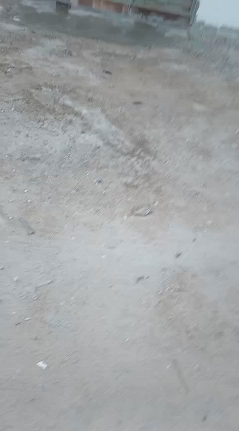 السلام عليكم بيت في الزبير قرب المدينه الكرفانيه خلف اسواق حجي قيصر المساحه ٣٠٠ يبعد عن الشارع حوالي ٥٠٠ متر البيت بناء جديد متوفر كافة الخدمات ماء كهرباء ومدرسه ابتدائيه شارع ١٠ 
السعر المطلوب ٨٥ وبيه مجال
البيت زراعي 
لاستفسار اتصال على هذا الرقم ***********
