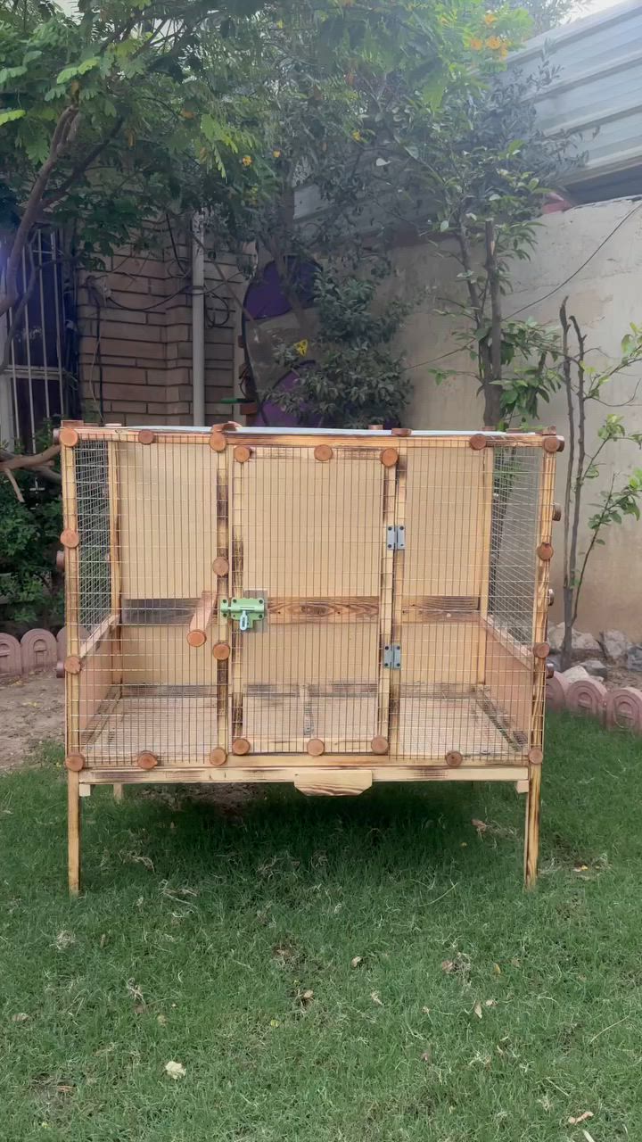 متاح بغداد الجديده


**إذا كنت صاحب هذا الإعلان وتريد حذفه لأي سبب، رجاءا أرسل رسالة إلى الدعم الفني**