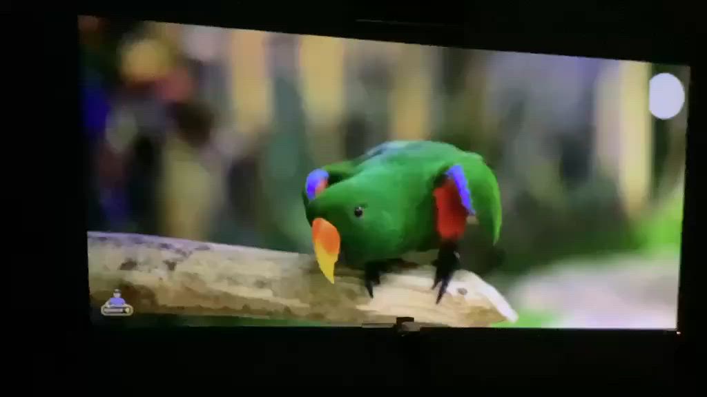 يا الله
متوفر داتا شو  4k شحن 

أبرز المواصفات التقنية:

نظام التشغيل: يعمل بنظام أندرويد 9.0، مما يتيح لك تحميل تطبيقات مثل Netflix وYouTube مباشرة على الجهاز [6، 10].

الدقة: يدعم فك تشفير فيديوهات بدقة 4K والعرض بدقة 1080P Full HD [6، 7].

الاتصال اللاسلكي: يدعم واي فاي مزدوج النطاق (2.4G/5G) وبلوتوث، مما يسهل توصيله بالسماعات أو الهواتف [7، 17].

البطارية: يحتوي على بطارية مدمجة (عادةً بسعة 4000 مللي أمبير)، مما يجعله قابلاً للاستخدام في أي مكان بدون أسلاك لفترة معينة [10].

المنافذ: يتضمن منافذ HDMI، وUSB، ومنفذ لبطاقة ذاكرة Micro SD [1].
السعر : 150


**إذا كنت صاحب هذا الإعلان وتريد حذفه لأي سبب، رجاءا أرسل رسالة إلى الدعم الفني**