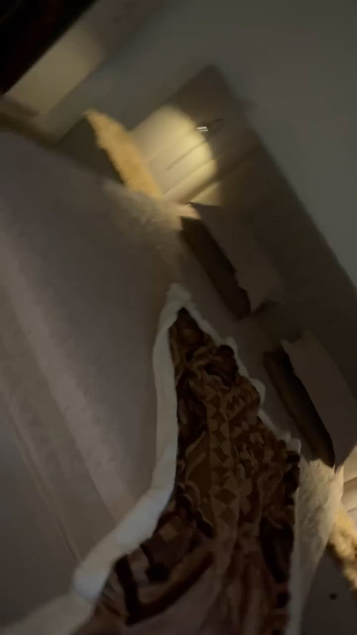 مستعجله لبيعتهم


**إذا كنت صاحب هذا الإعلان وتريد حذفه لأي سبب، رجاءا أرسل رسالة إلى الدعم الفني**