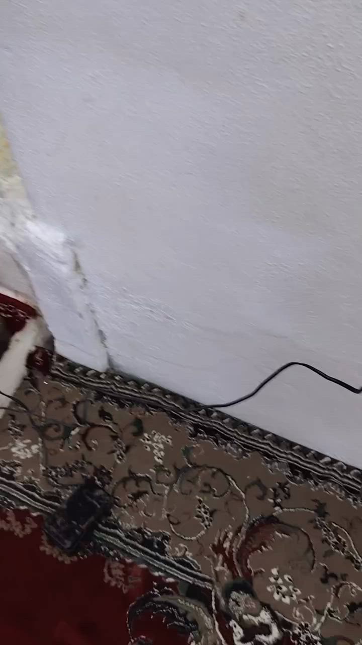مكينه قديمه وكلش نظيفة شغاله اي عطل مابيها وصوطها كلش ناعم


**إذا كنت صاحب هذا الإعلان وتريد حذفه لأي سبب، رجاءا أرسل رسالة إلى الدعم الفني**