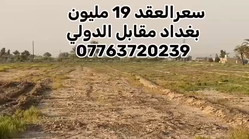 (  سعر دونم عقد  19 مليون سند مستقل )
الموقع /بغداد اتجاه الدولي بين الجسر الثاني والثالث    قريبة من السريع  ومطعم النصراوي كما تبعد دقائق عن الدورة  جاهزة  لمشروع سكني اوصناعي او تجاري كامله  الخدمات دخولها من الدولي تباع كامل 20 دونم او جزء    

***********

***********
