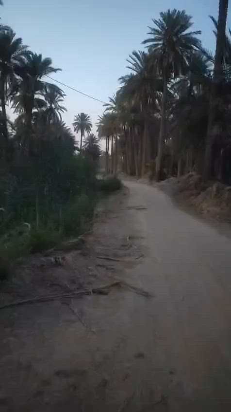 🌴 للبيع: بستان 10 دوانم - طواريج أم رواية / كربلاء*

*📍 الموقع والخدمات*  
- 🛣️ دقيقتين عن شارع العلماء الشارع الرئيسي  
- 🗺️ قريبة على ناحية الخيرات  
- 🏡 المنطقة عليها مزارع وشاليهات  
- ⚡ كهرباء طوارئ ما تطفي  
- 🌊 يمها نهر وماي سقي متوفر  

*📐 تفاصيل الأرض*  
- 📏 المساحة: 10 دوانم تنباع كاملة أو مفرد على دونم دونم  
- ↔️ الواجهة: 35 متر لكل دونم  
- 🧱 مسيجة BRC من الجهتين  
- 🚜 مكروبة ومرتبة، الكاع نشطة ونظيفة  
- 🌴 بيها نخل  
- 📜 الطابو: وطني طوارئ  

*✨ مميزات إضافية من الفيديو*  
- 🛤️ شارع ترابي داخل البستان  
- 🏞️ الأرض مرفوسة ومستوية  
- 🚪 على وجه الشارع مباشرة  
- ✅ مناسبة للسكن، مزرعة، أو شاليه
للاستفسار مراسله الصفحة 
أو الاتصال ***********
