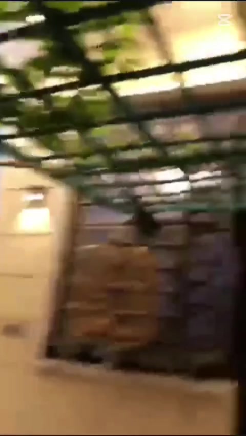 بيت للايجار 😍 مؤثث الاثاث تخم قنفات مع 3 سبلات وكاونتر مطبخ  قرب جسر الحضارت (شارع النهر) المساحة 150 متر طابو  طابقين  يحتوي على 6 غرف الطابق الاول غرفتين2 صاله استقبال مفروش وكامل
ومطبخ الطابق الثاني! يحتوي على 4 غرف وصاله وصحيات بناء حديث🏫
للاتصال ***********  
ألايجار مليون ونص مع المجال
