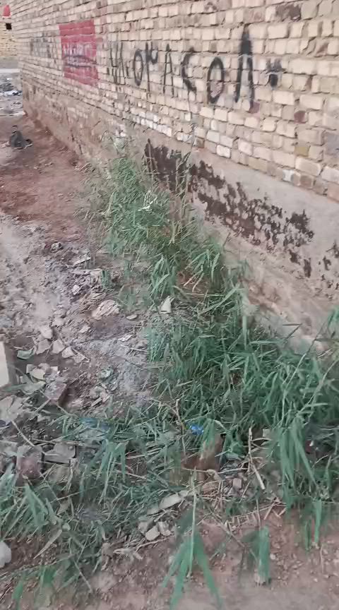 قطعه ارض للبيع الواجهه 14 والنزال 15 قطعه مربعه حلوه مكان الديوانيه حي الامين شارع العيساوي ثالث فرع رقمي *********** السعر 30 مليون وبيها مجال للشراي
قطعة الأرض شكد مساحتها بالمتر، وهل بيها واجهة وحدة لو أكثر من جهة؟: 
200 متر 
منطقة الديوانية حي الأمين شنو أقرب معلم أو نقطة دالة حتى يعرفها المشتري بسهولة؟: 
قرب محطه بانزين الشموس بشارع العيساوي
شنو الخدمات المتوفرة هسه بالقطعة: ماء، كهرباء، مجاري، شارع مبلط لو ترابي؟: 
متوفره كل الخدمات شارع مقرنص 
السعر 30 مليون أكيد قابل للتفاوض لو ثابت، ويفضل الدفع كاش لو تقبلون تقسيط؟: 
قابل للتفاوض الدفع كاش 