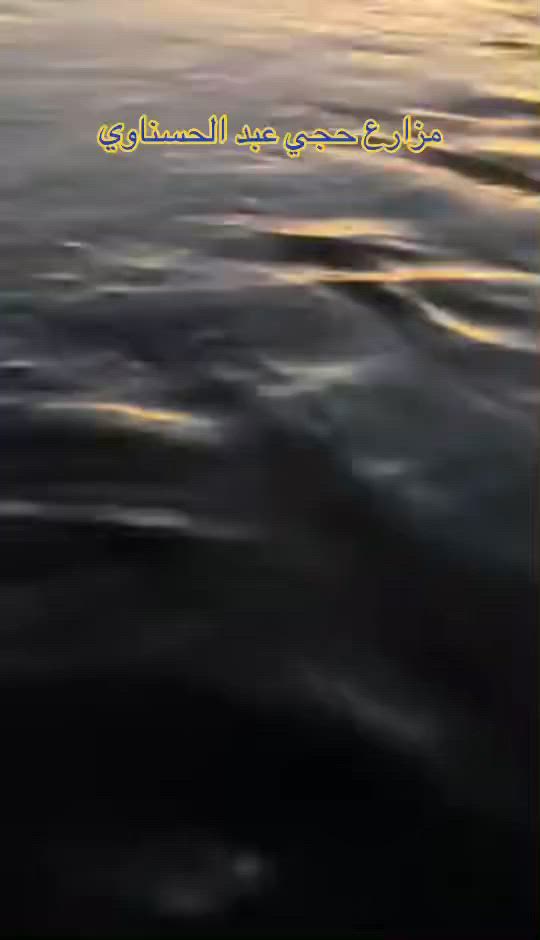 متواجدين حاليا بالنجف شرط السقي
***********
