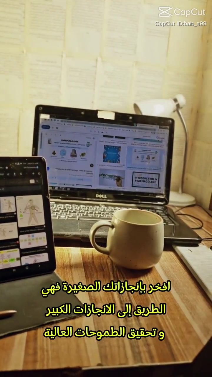 شغل. لكل بنوته حابه تعتمد على نفسه