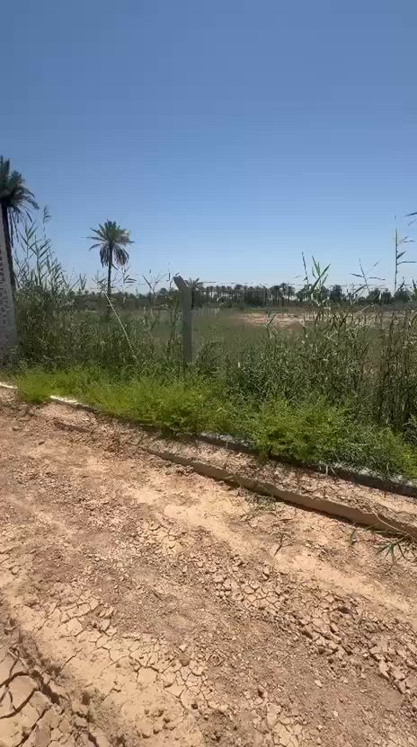 📌دونم للبيع
🌴🌲ارض زراعيه دونم سند ٢٥ باسم شخص واحد تحويل بالطابو واجهه ٢٣ متر 
📍الموقع : كربلاء _ الهنديه _ الساده ال سيد جاسم على الشط خلف مشروع الماء كافة الخدمات موجوده قريب للشارع العام قرب بوابة المجمع 
❓للاستفسار الاتصال على الارقام 
📞***********
📞***********
او زيارة مكتب 🔹امير الدليمي للعقار🔹الكائن في 
📍كربلاء _ الهنديه _ حي المصطفى 🔹ابو جوعانه🔹 قرب اسواق هادي مكي
