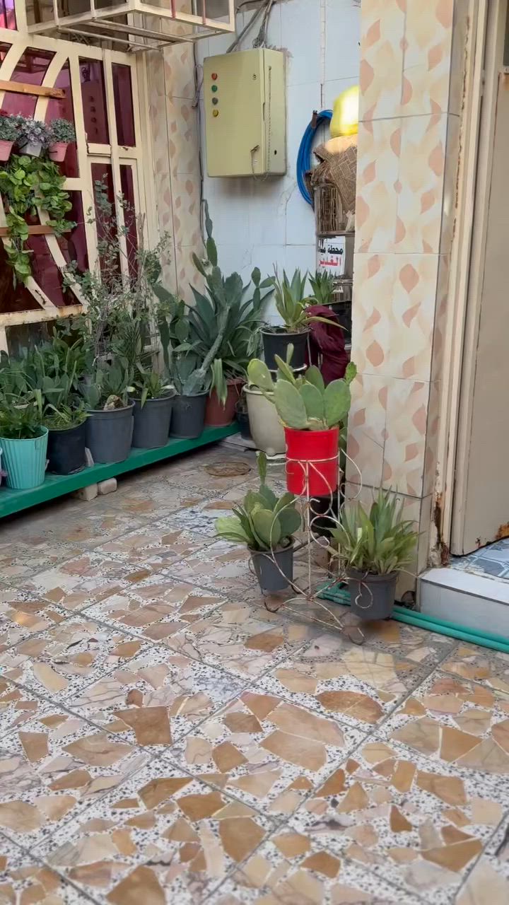 الدار للبيع امانه
حي البتول قرب فلكه حي النصر  خلف كوفي شوب الكابتن مساحه 100 متر 

 طابقين غرفتين و حمامين داخليين و حمام خارجي و صاله و مطبخ و استقبال  للاستفسار ! 

السعر :110
الاتصال : ***********
