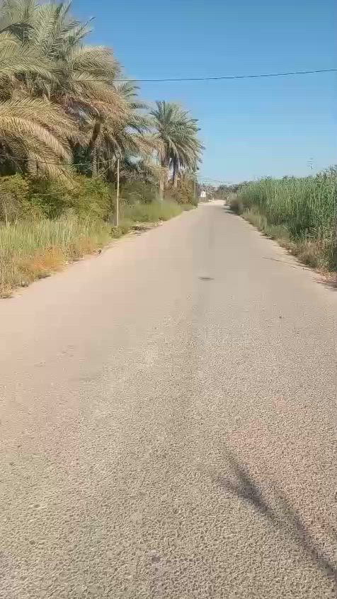 دونم للبيع طابو زراعي سند 25 تحويل اسهم العنوان كربلاء الحسينية منطقة مصطفى خان شارع ابو عصيد خدمات كامله  يبعد عن شارع السيده زينب كيلو ونص وعن مركز المدينة  8 كيلو السعر 285 قابل للتفاوض للأستفسار اتصال *********** / ***********
