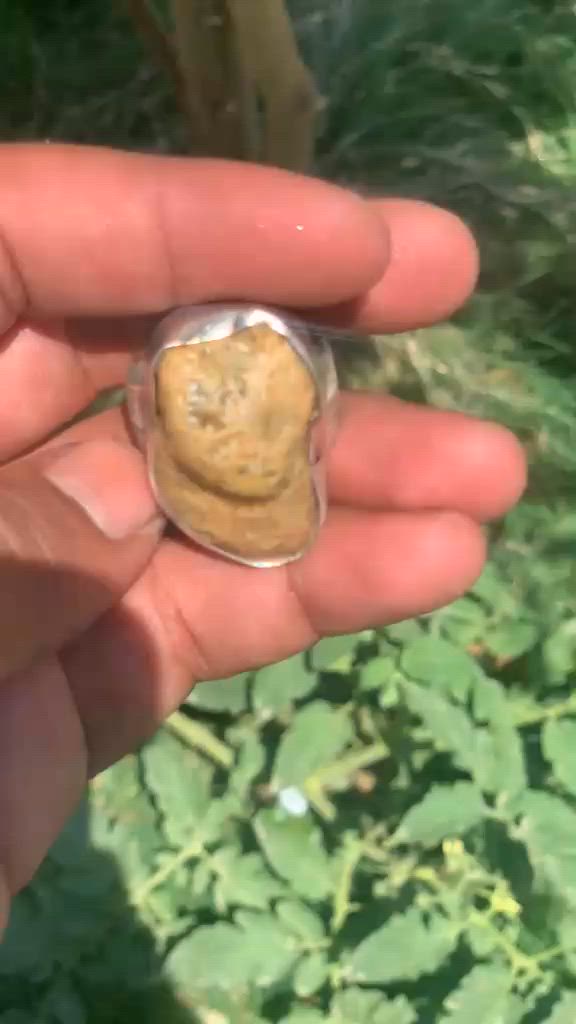 كلهن خام وملاكط مال كاع توصيل ماكو عنوني مدين صدر


**إذا كنت صاحب هذا الإعلان وتريد حذفه لأي سبب، رجاءا أرسل رسالة إلى الدعم الفني**