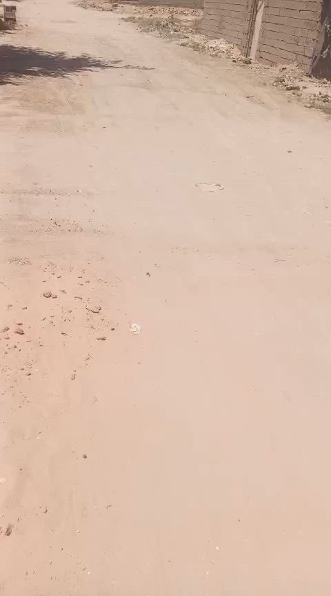 سلام عليكم دار البيع بغداد حي البتول الزراعي  تفاصيل داخل المقطع سعر 33 بي مجال بصيط ‏‪***********‬‏
