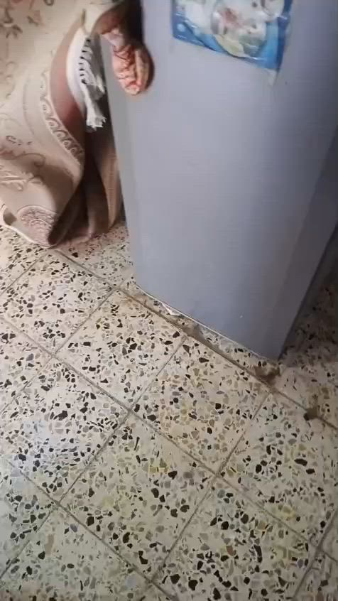 ثلاثه ما متصلحه نهائي ١٠٠ نهايته تجميد ممتاز


**إذا كنت صاحب هذا الإعلان وتريد حذفه لأي سبب، رجاءا أرسل رسالة إلى الدعم الفني**